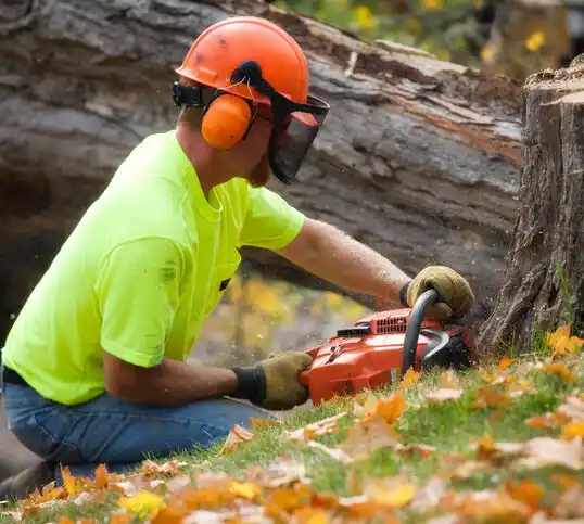 tree services Westernport